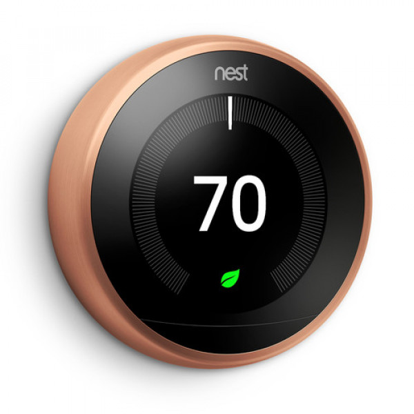 Control nest outlet with alexa