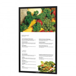 Sunbrite 49” Pro Series Outdoor Digital Signage – Full Sun & Active Areas – Portrait Orientation – DS-4917P