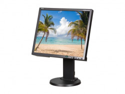 NEC EA192M 19IN LCD Monitor 1280X1024 VGA/ Dvi-d Spkr Blk Cabinet