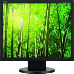 Nec AS191-BK Accusync LCD Monitor