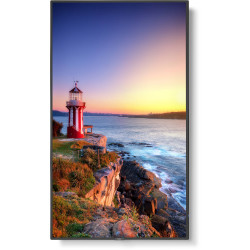 NEC MultiSync P555  HDR 4K UHD 55" Class Digital Signage IPS LED Display