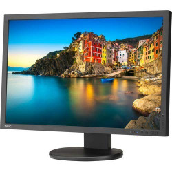 NEC P243W-BK 24" Monitor Display