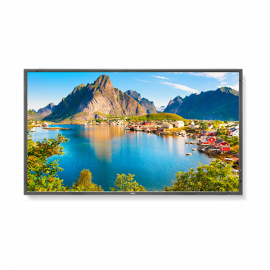 NEC Display E805-80 inch LED Backlit Commercial-Grade Display