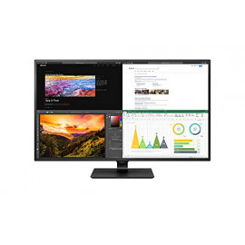 LG 43” IPS UHD 4K Monitor with USB Type-C, 4 HDMI, OnScreen Control, Remote & HDCP 2.2 Compatible