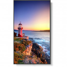 NEC MultiSync P555  HDR 4K UHD 55" Class Digital Signage IPS LED Display