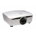 Left Angled View